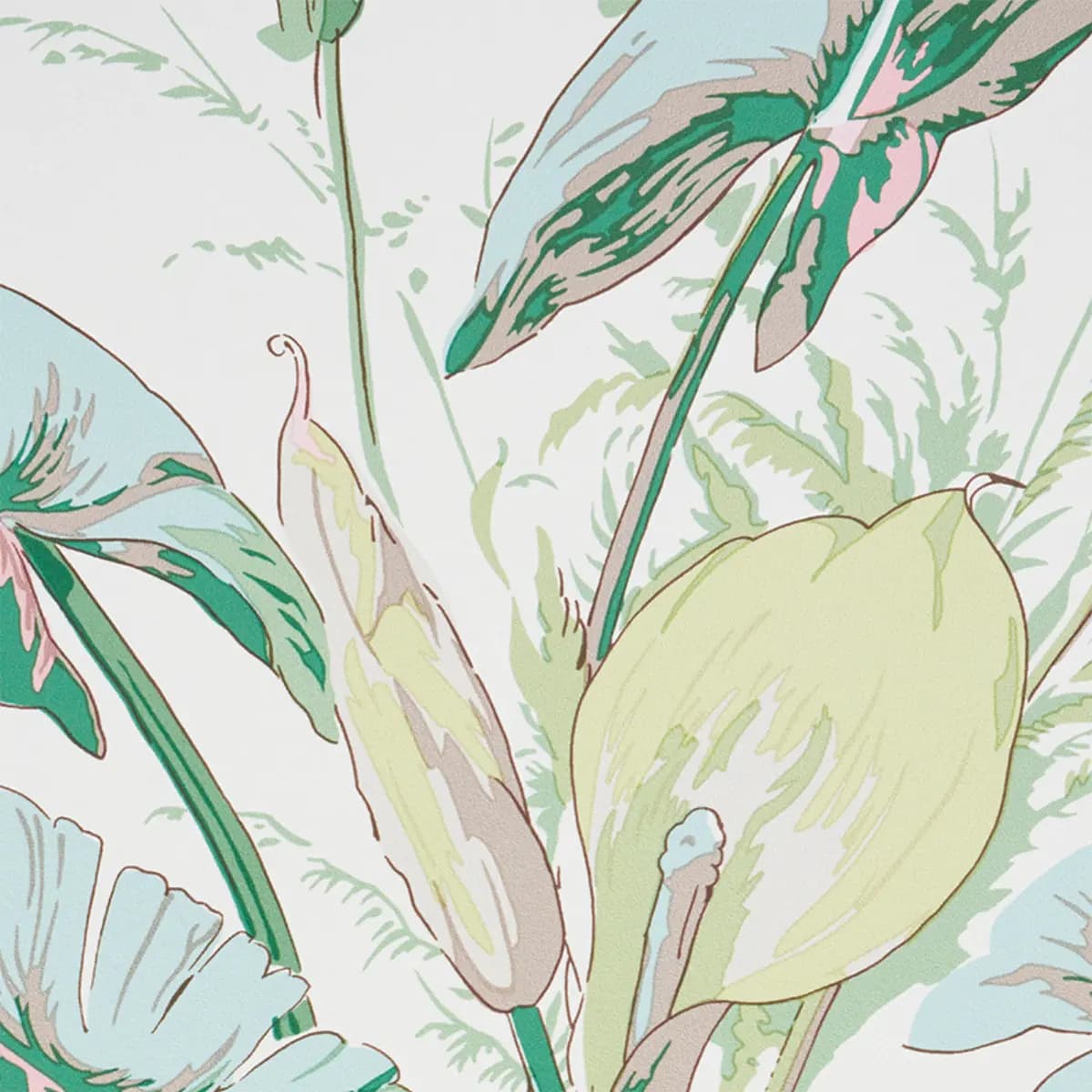 TROPIQUE_ BLUSH