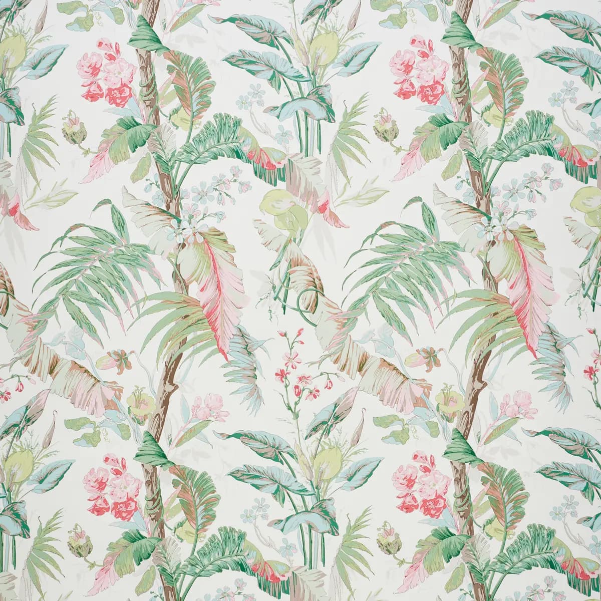 TROPIQUE_ BLUSH