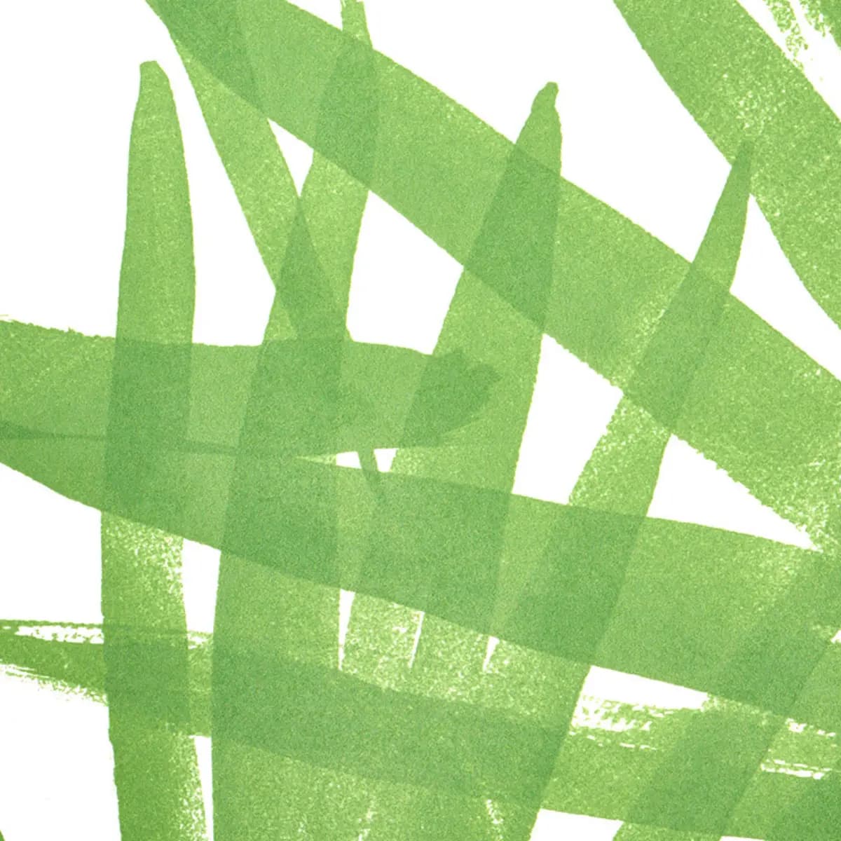 SUNLIT PALM_ GREEN