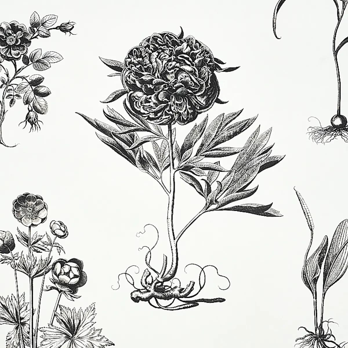 CABOT BOTANICAL LARGE_ IVORY