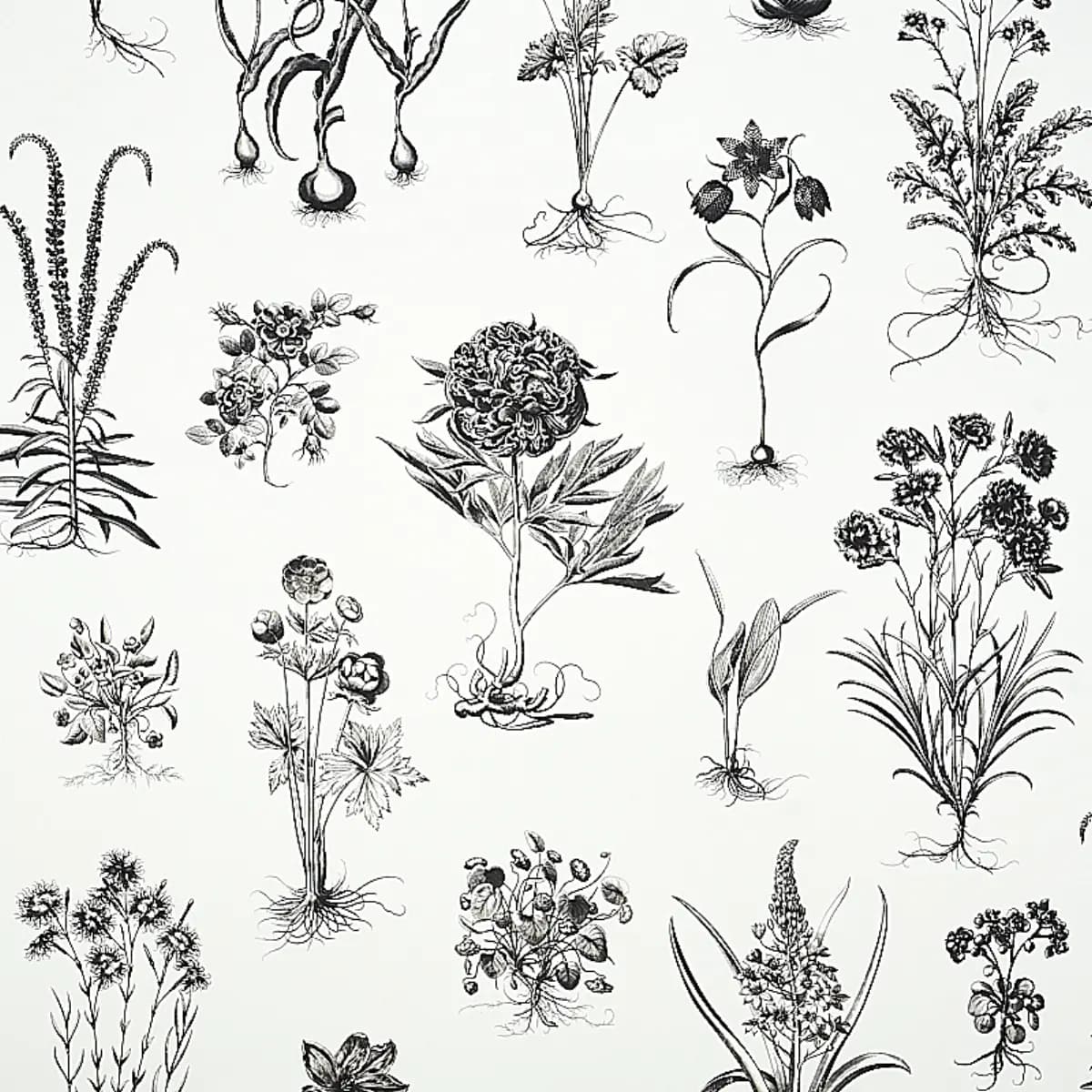 CABOT BOTANICAL LARGE_ IVORY