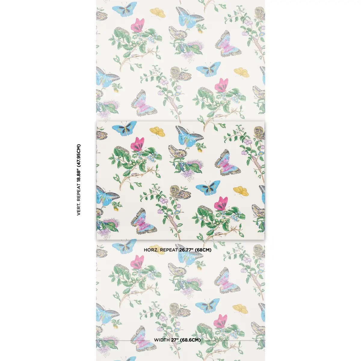 BAUDIN BUTTERFLY_ TURQUOISE