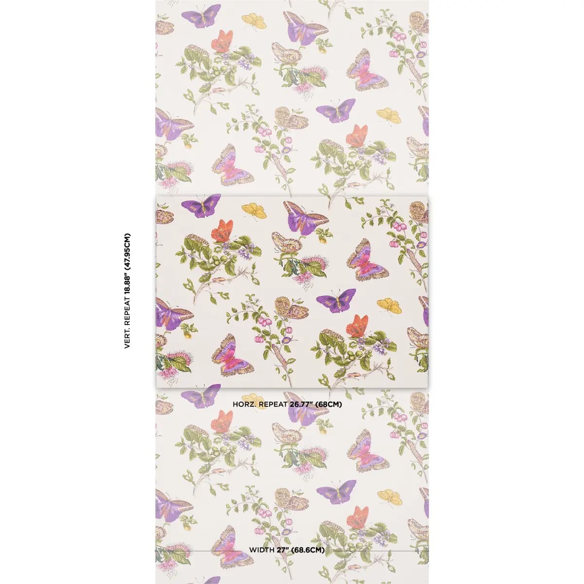 BAUDIN BUTTERFLY_ PURPLE