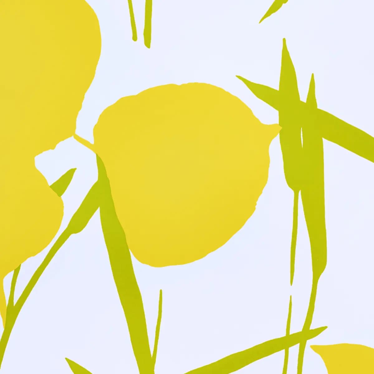 JOAN_ YELLOW