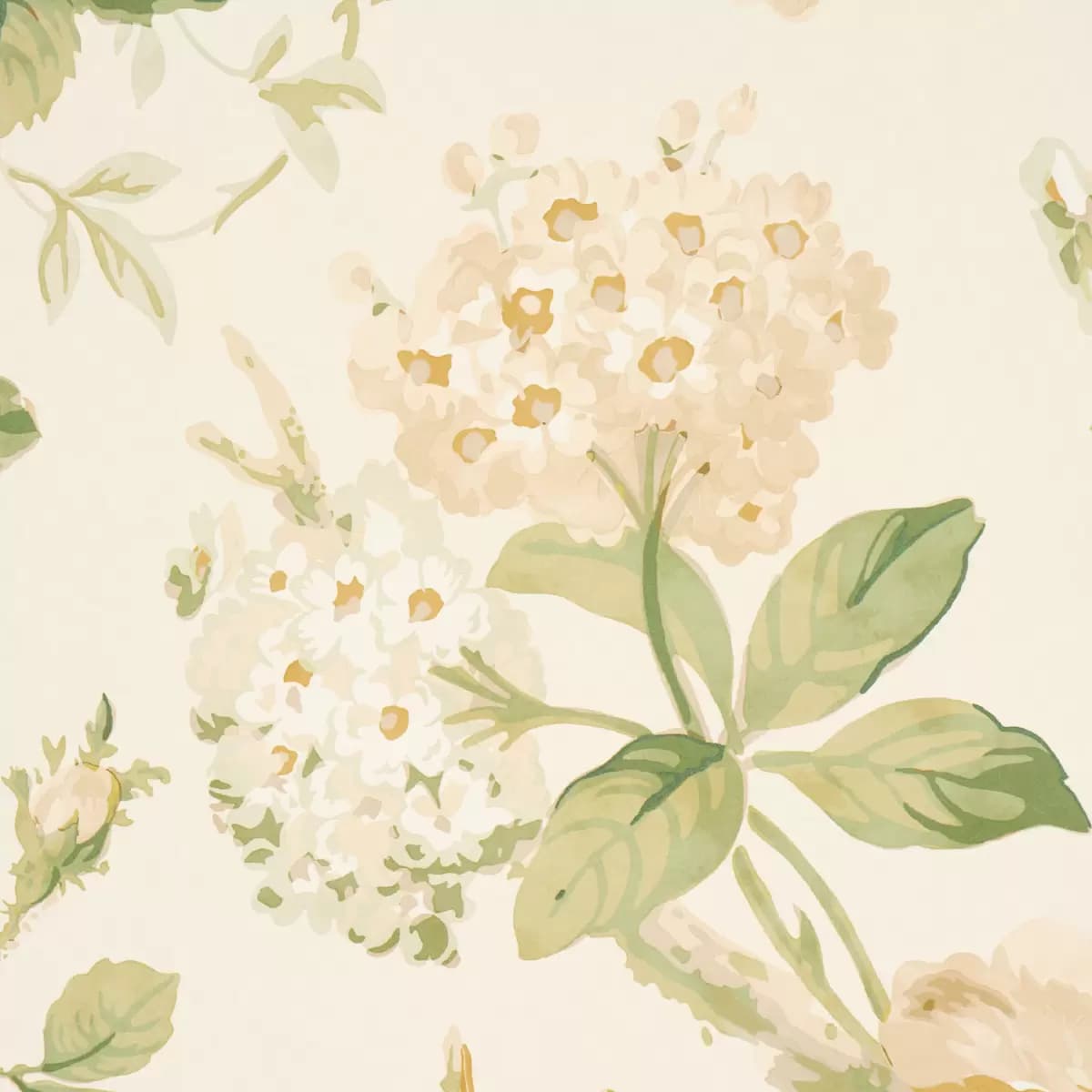 Nancy Floral_ IVORY