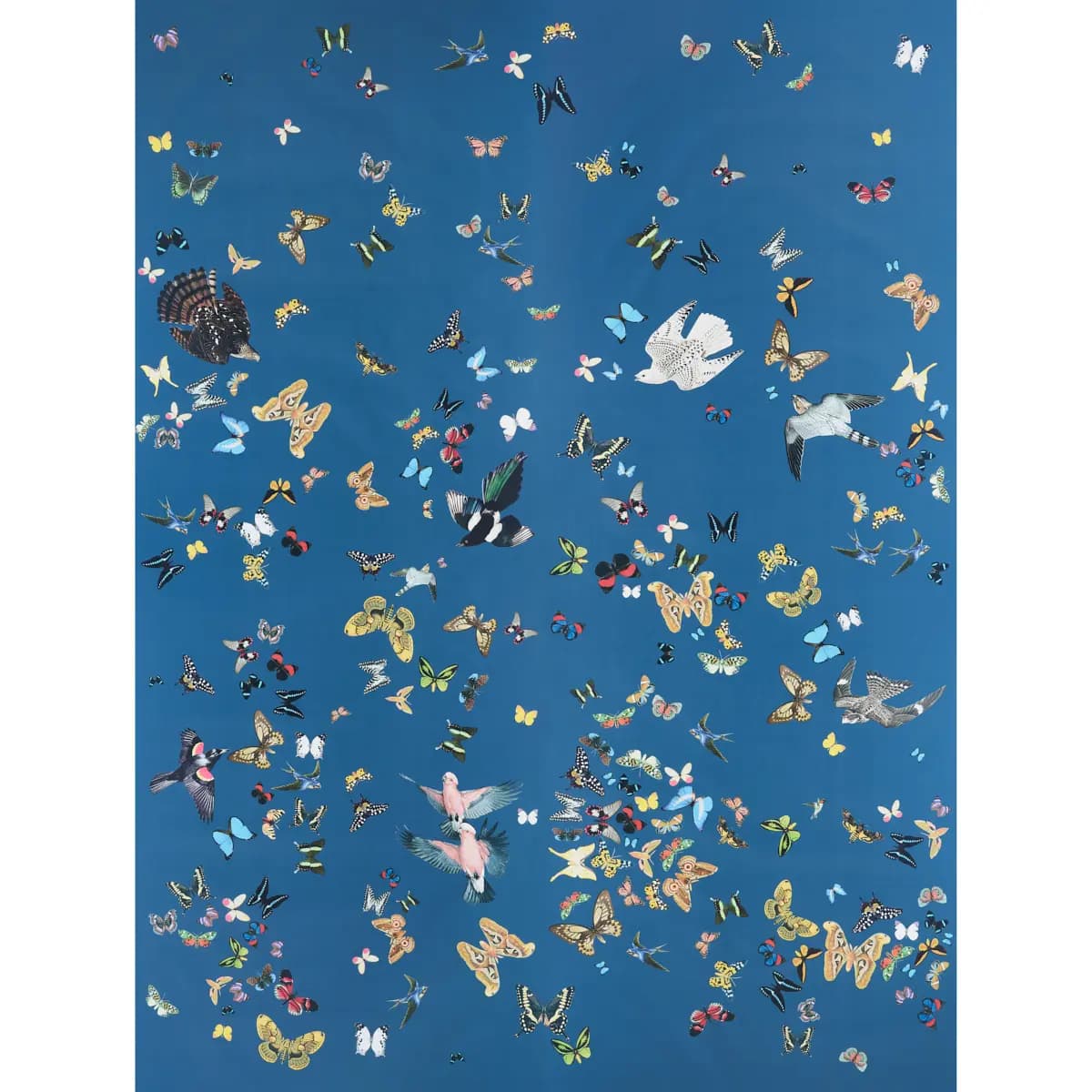 QUEEN'S FLIGHT PANEL SET_ NAVY