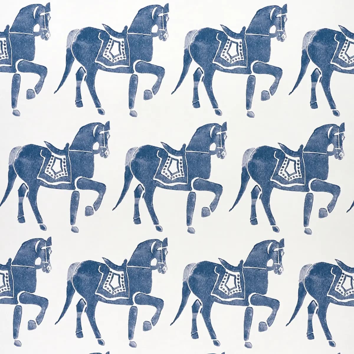 Marwari Horse_ NAVY
