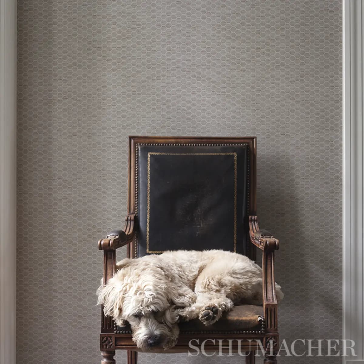 ABACO LINEN PAPERWEAVE_ NATURAL