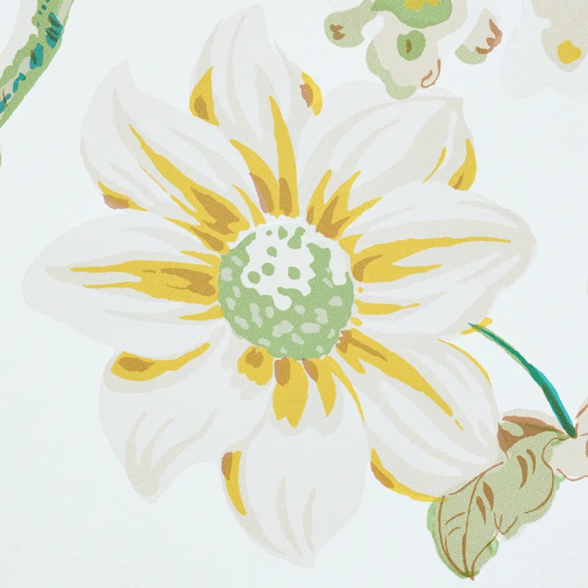 Daydream_ CITRON