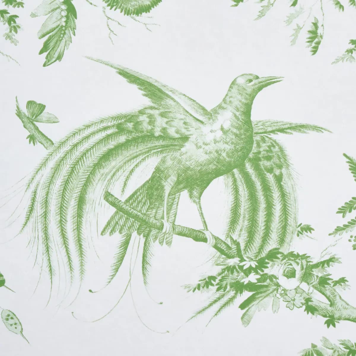 TOILE DE LA PRAIRIE_ GREEN