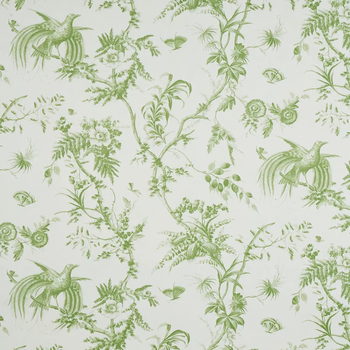 TOILE DE LA PRAIRIE_ GREEN