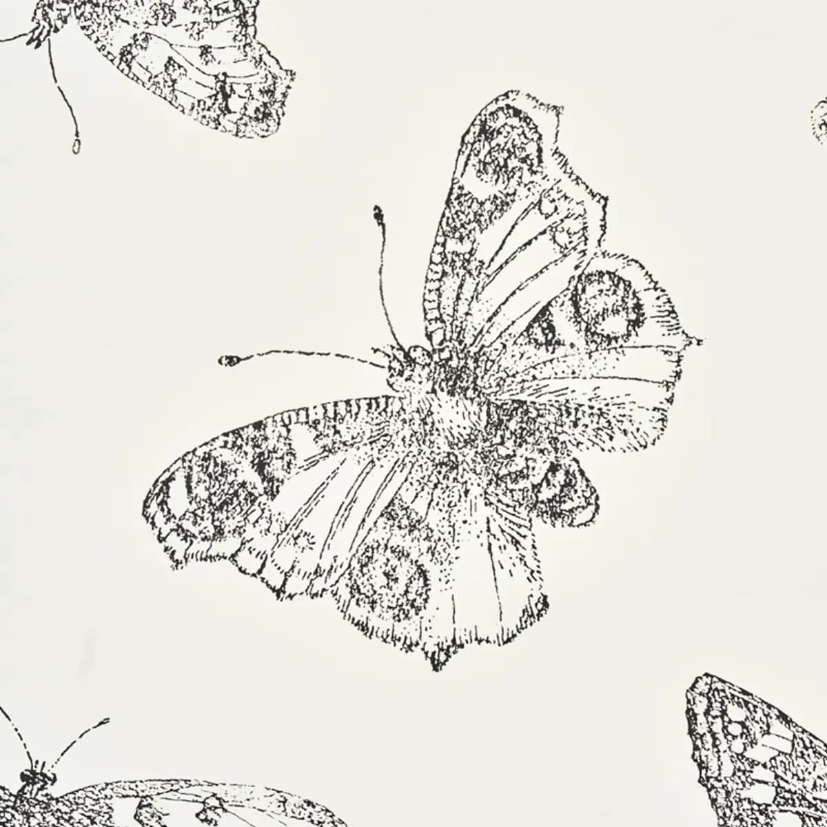 BURNELL BUTTERFLY_ IVORY