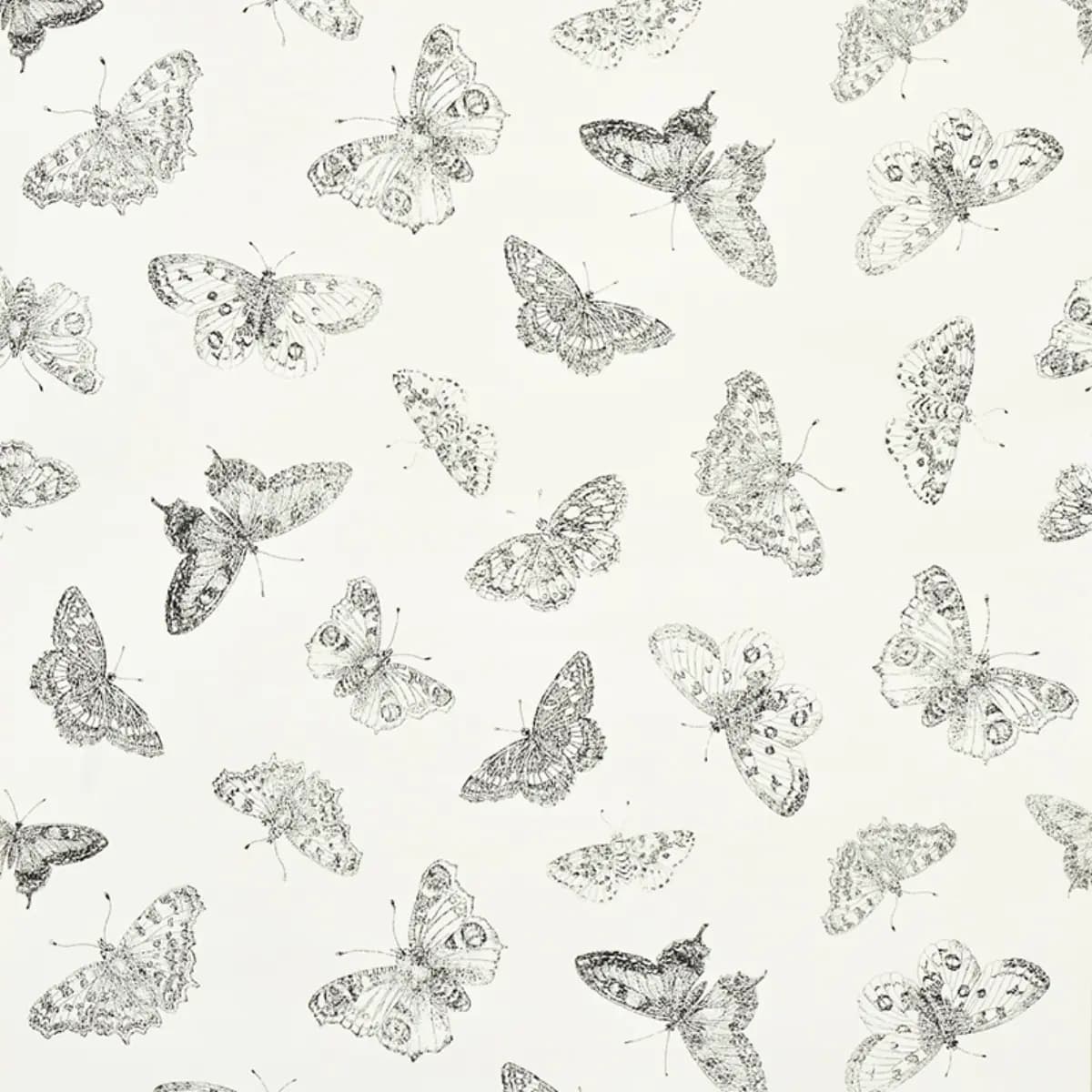 BURNELL BUTTERFLY_ IVORY