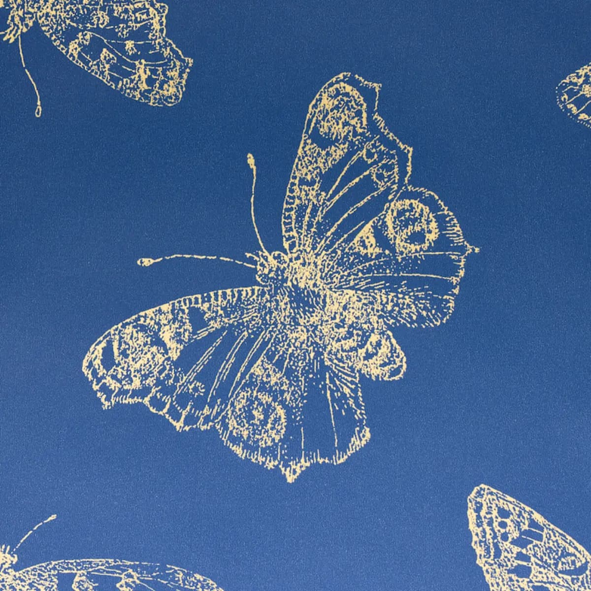 BURNELL BUTTERFLY_ BLUE