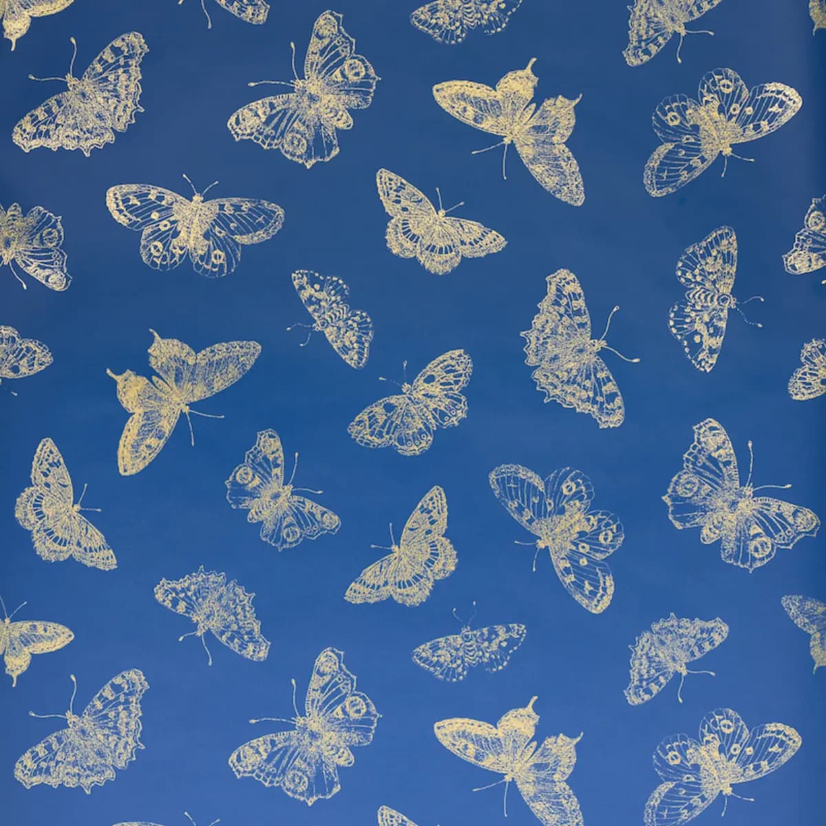 BURNELL BUTTERFLY_ BLUE