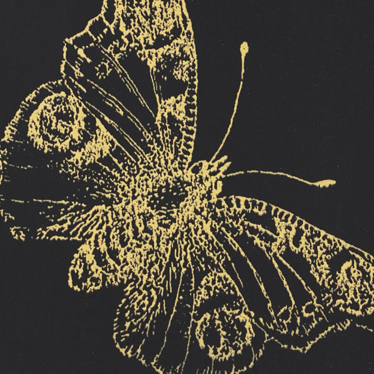 BURNELL BUTTERFLY_ BLACK