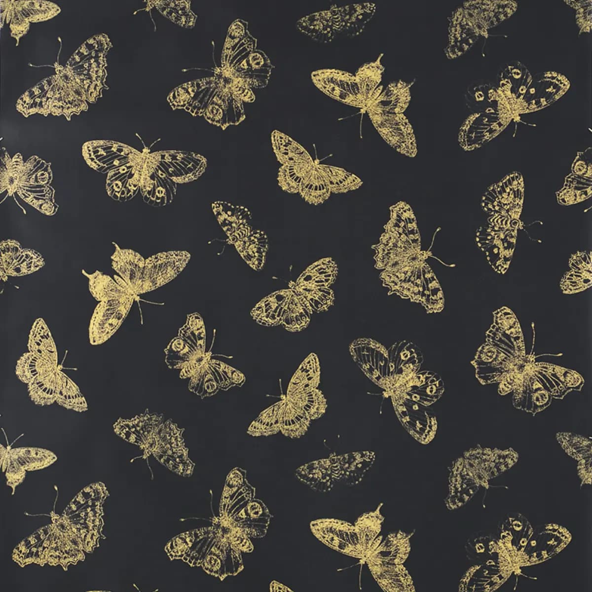 BURNELL BUTTERFLY_ BLACK