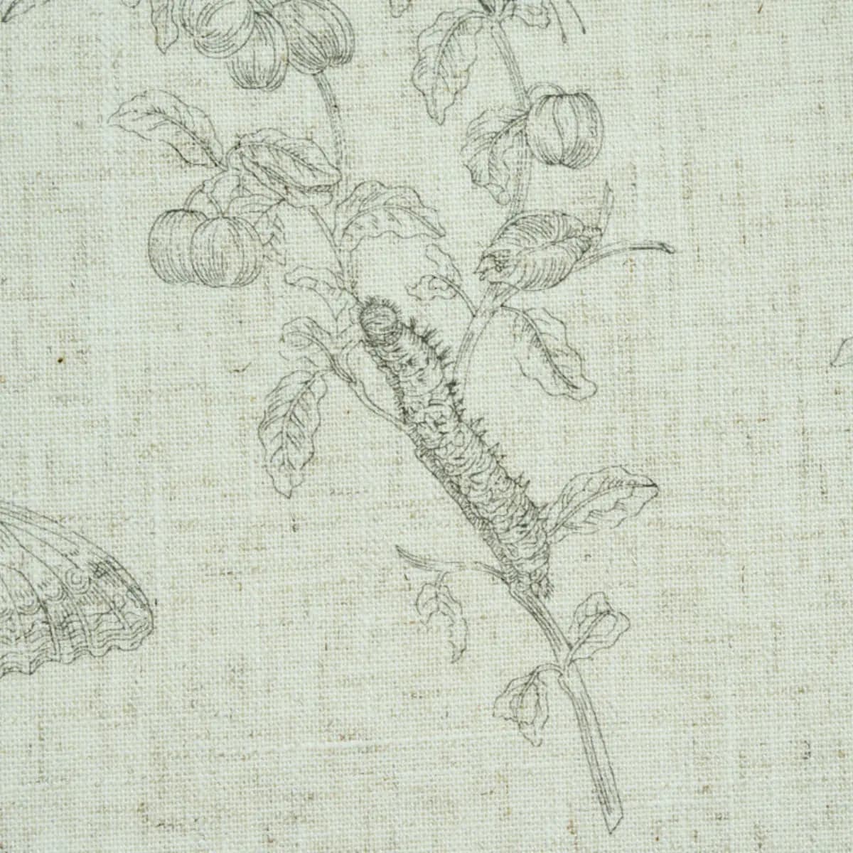 BAUDIN BUTTERFLY LINEN_ BLACK