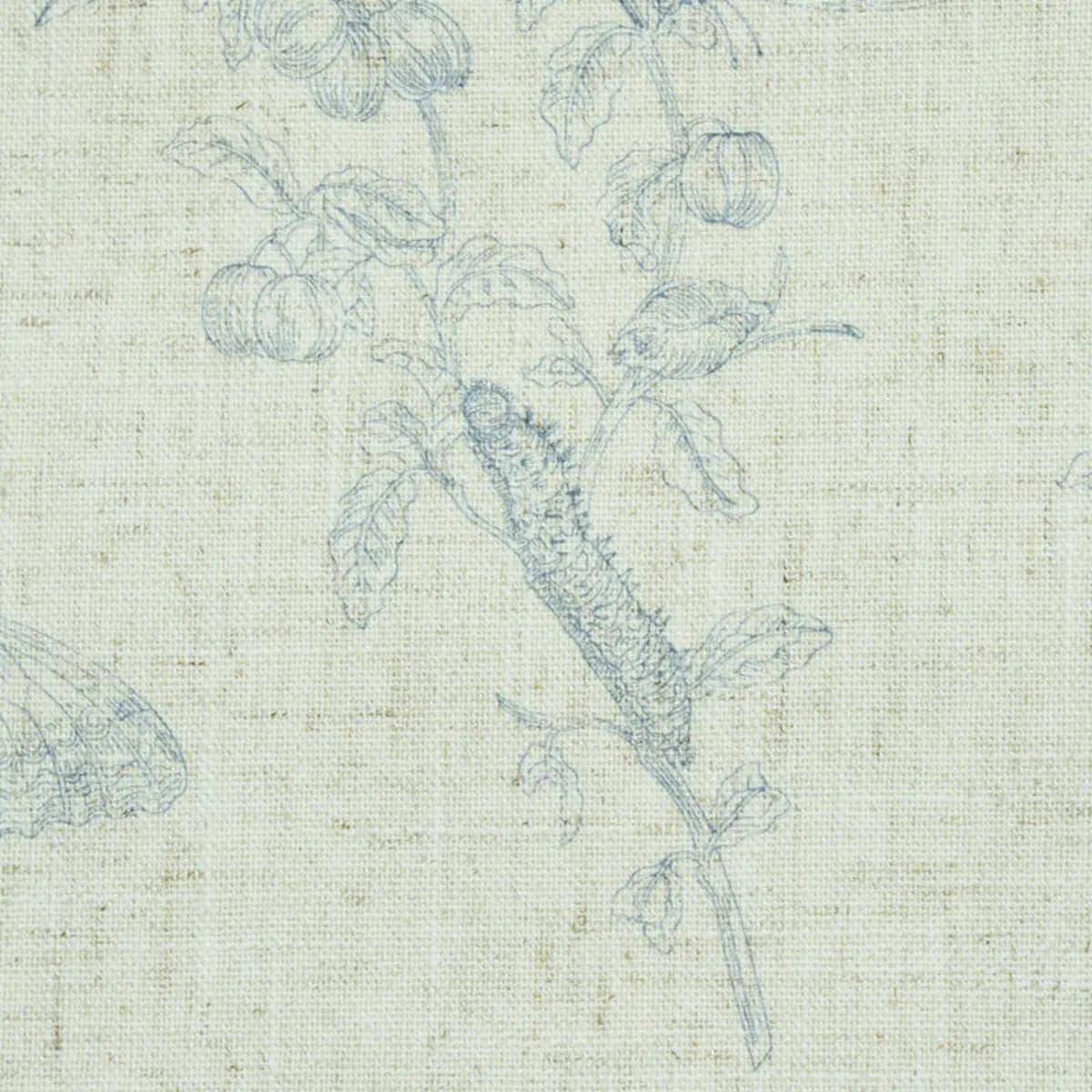 BAUDIN BUTTERFLY LINEN_ BLUE