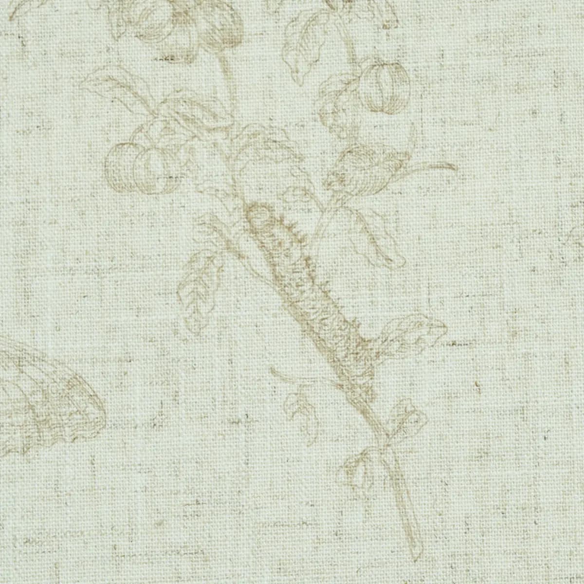 BAUDIN BUTTERFLY LINEN_ NATURAL