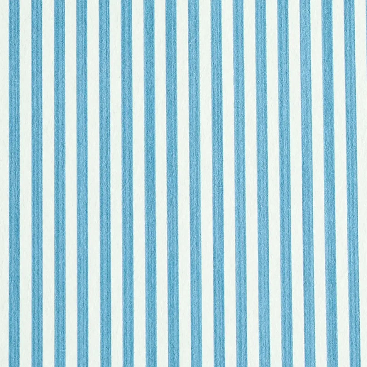 EDWIN STRIPE NARROW_ OCEAN