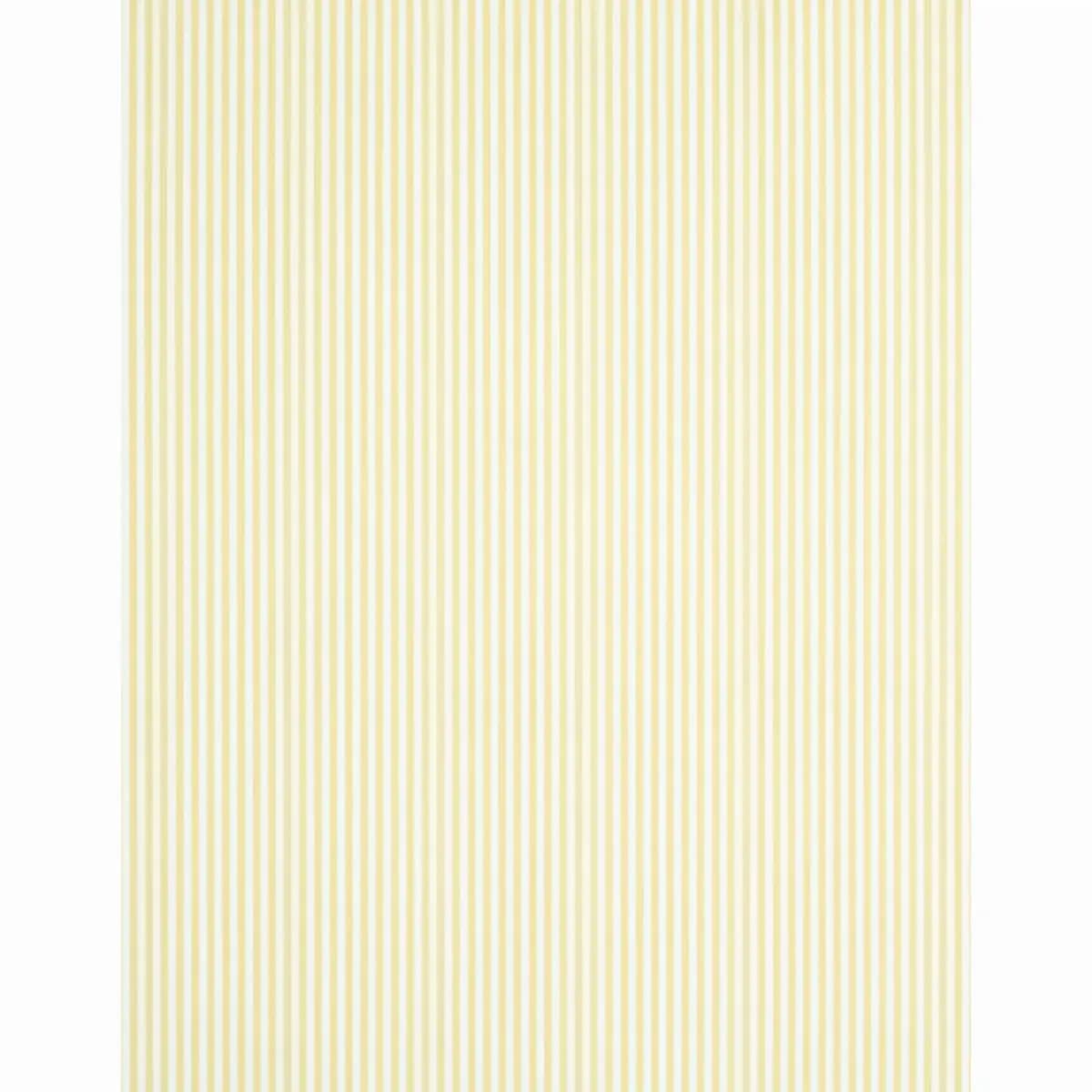 EDWIN STRIPE NARROW_ BUTTERCUP