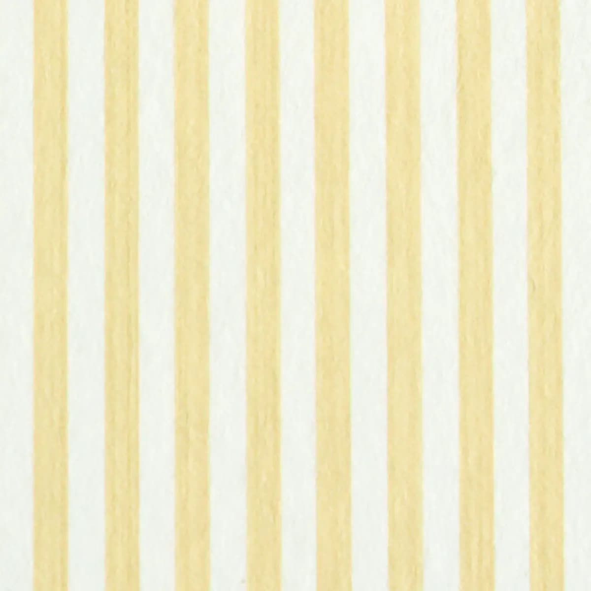 EDWIN STRIPE NARROW_ BUTTERCUP