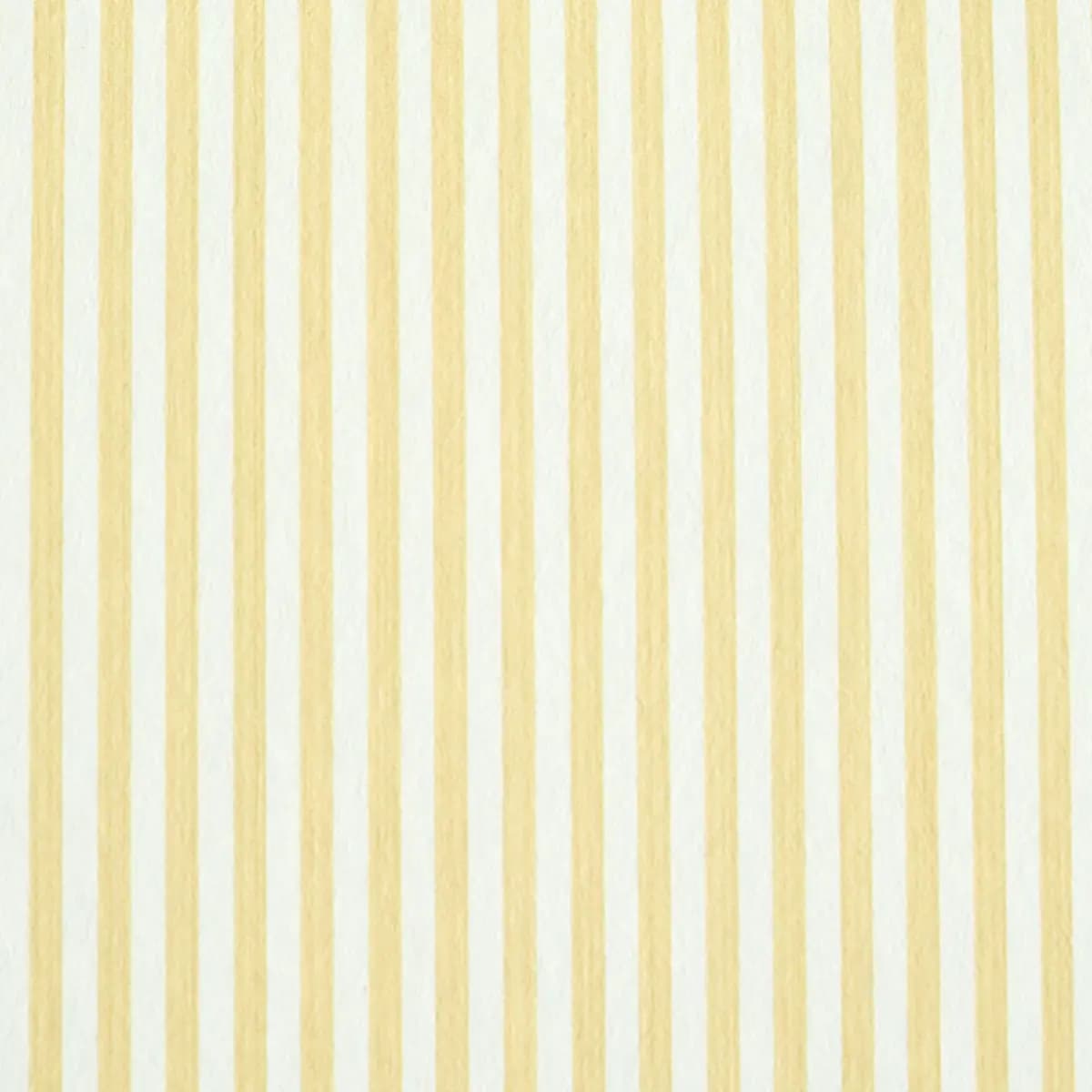 EDWIN STRIPE NARROW_ BUTTERCUP