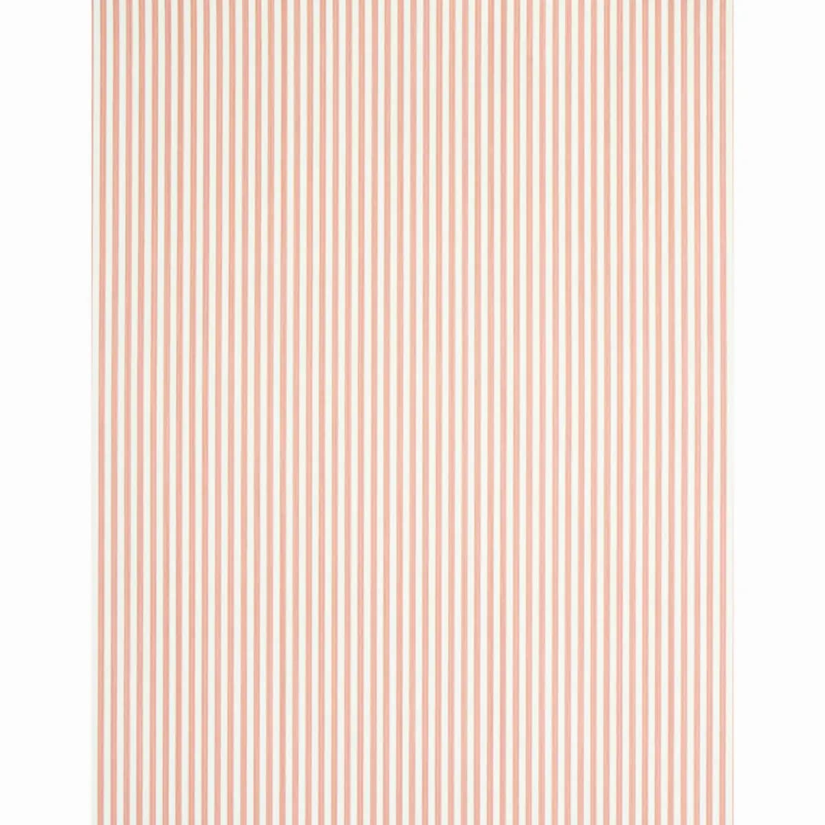 EDWIN STRIPE NARROW_ PINK