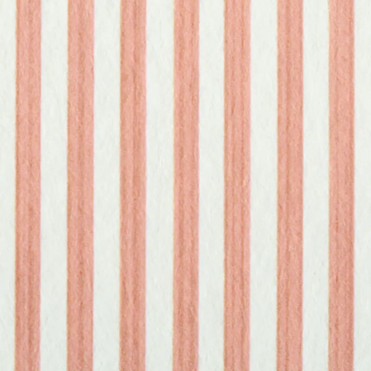EDWIN STRIPE NARROW_ PINK