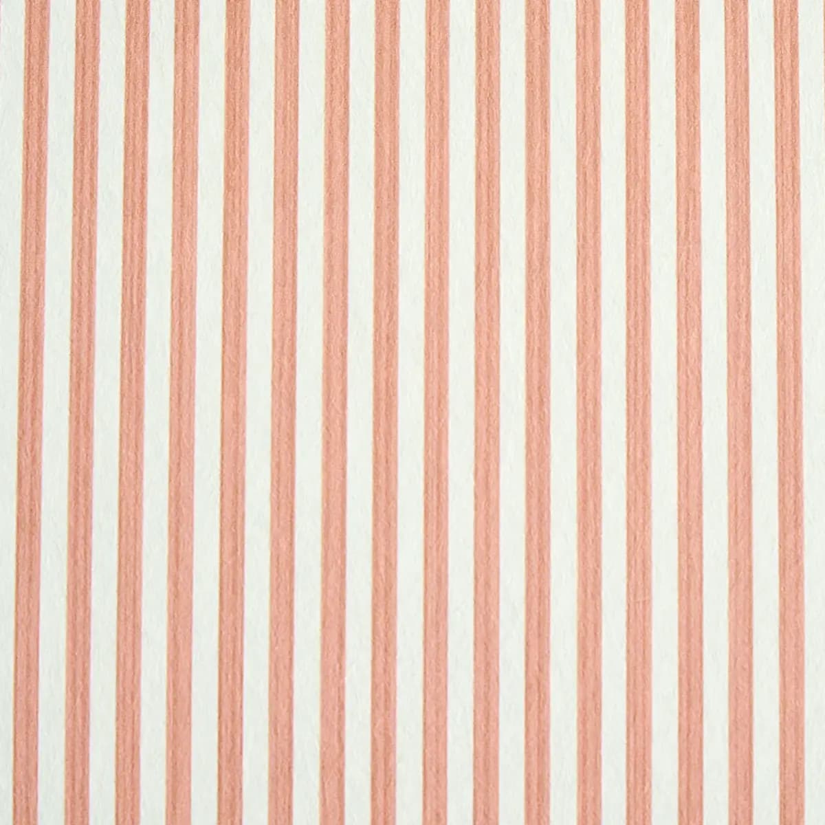 EDWIN STRIPE NARROW_ PINK