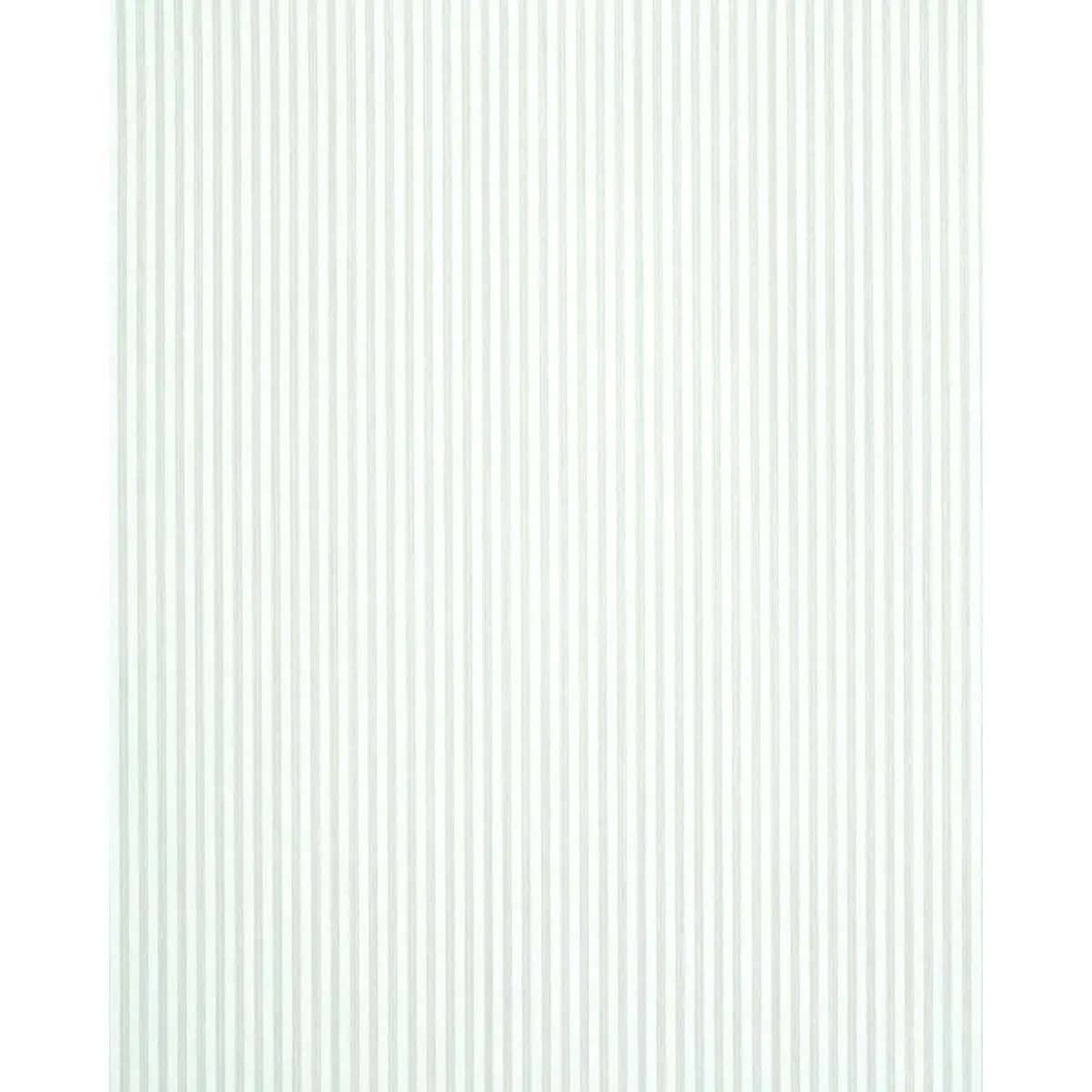 EDWIN STRIPE NARROW_ BIRCH