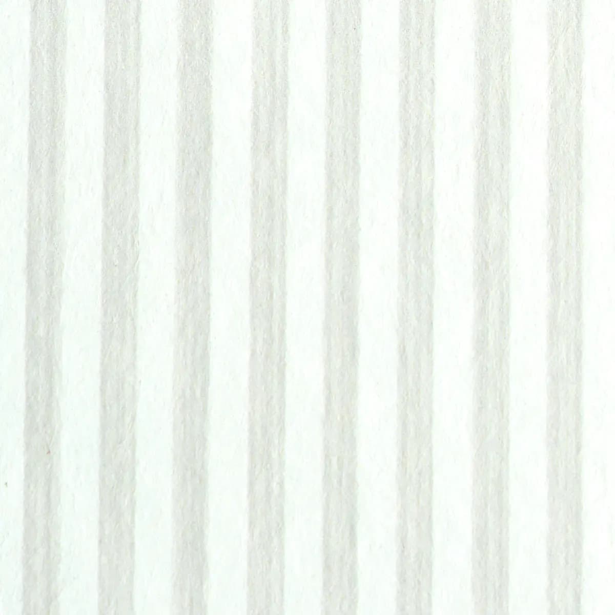 EDWIN STRIPE NARROW_ BIRCH