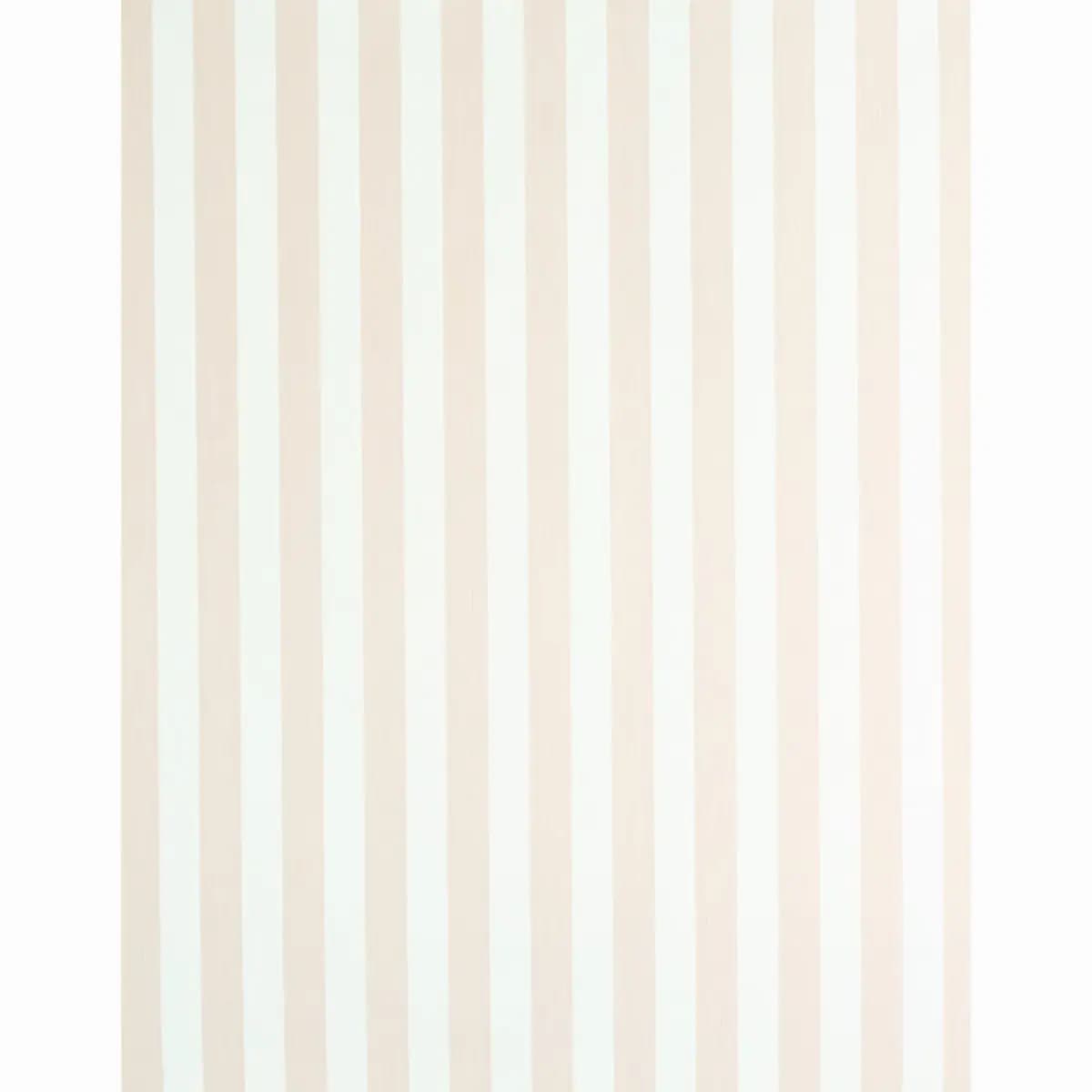 EDWIN STRIPE MEDIUM_ BLUSH
