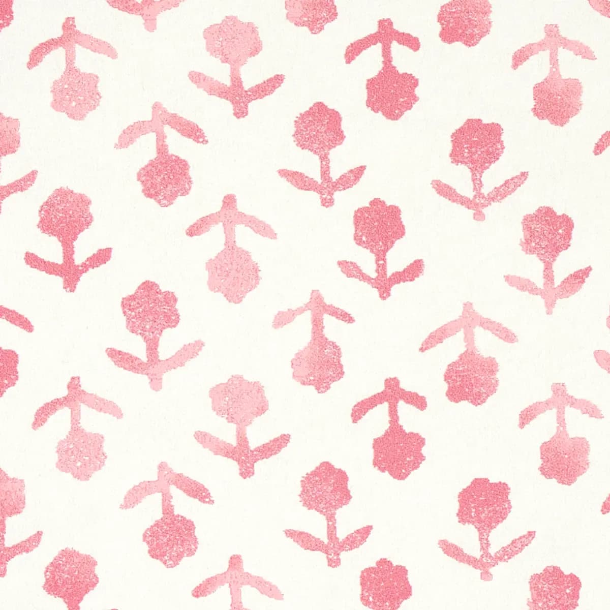 BEATRIZ_ PINK