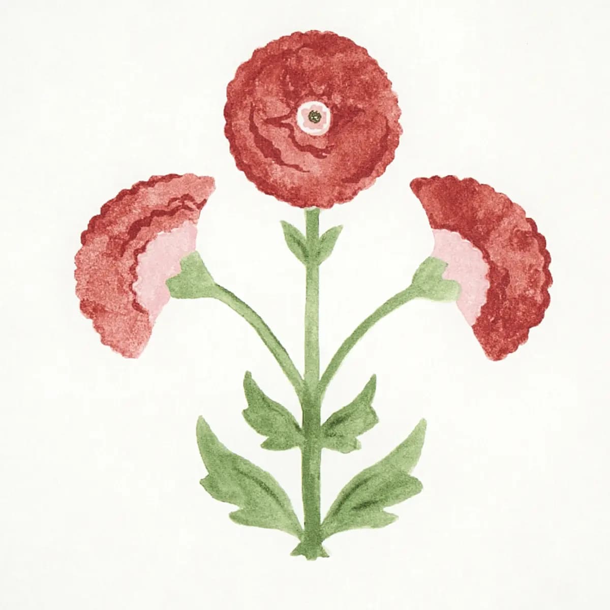 SARANDA FLOWER_ CARDINAL