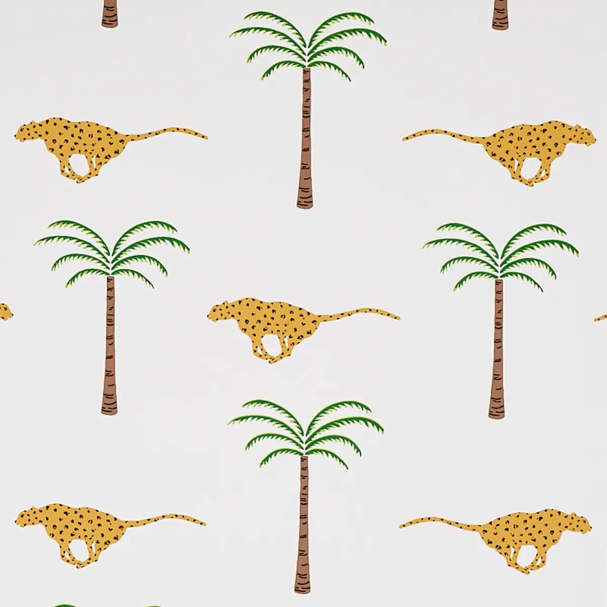 A Wild Desert Dream_ SAFARI