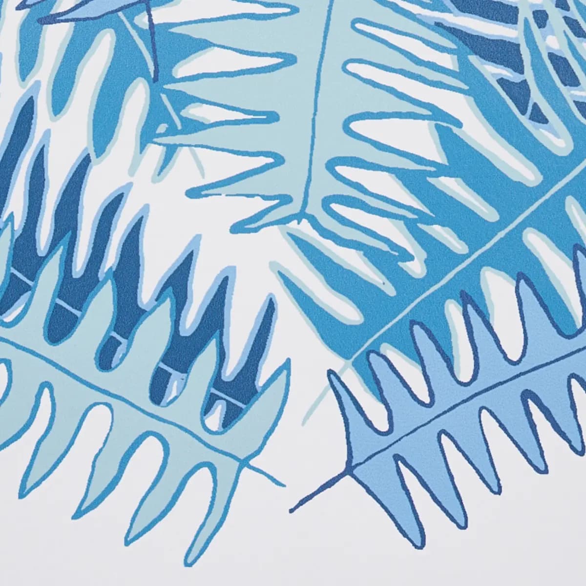 CANYON FERNS_ LAGOON