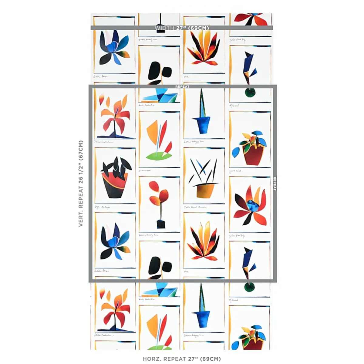BOTANICALS_ SPECTRUM MULTI