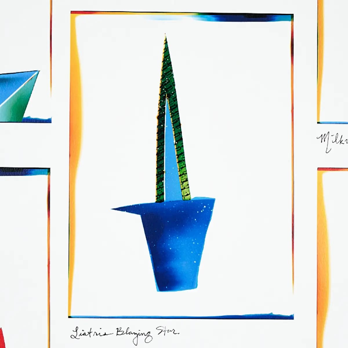 BOTANICALS_ SPECTRUM MULTI