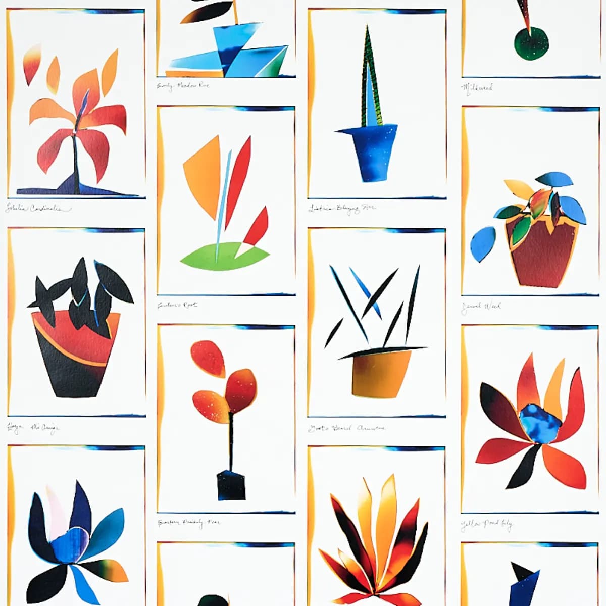 BOTANICALS_ SPECTRUM MULTI