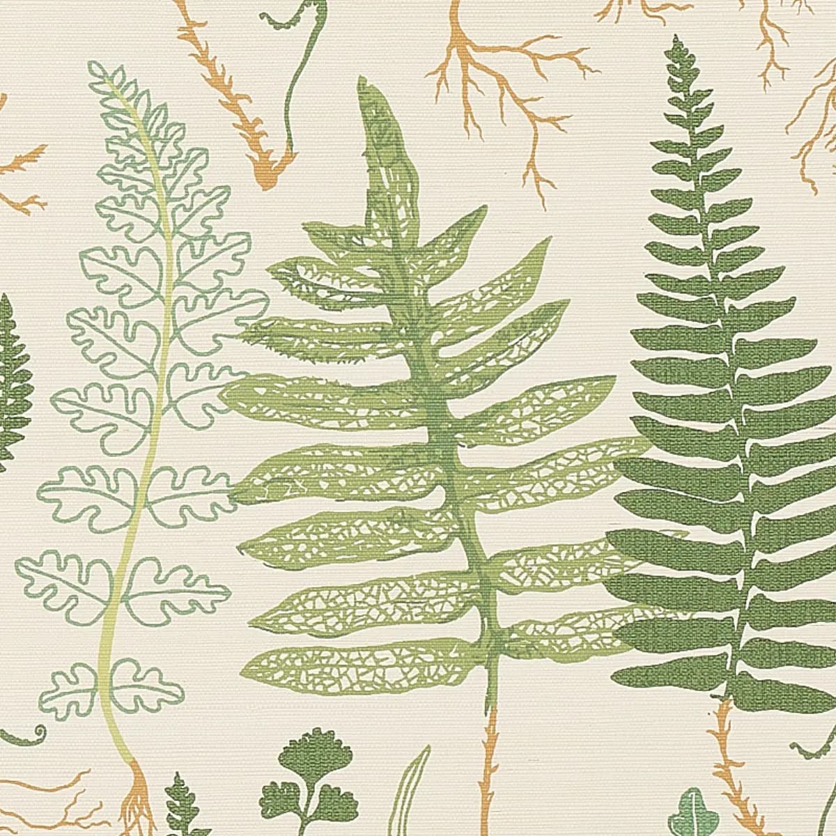 HALCOTT SISAL_ FOREST