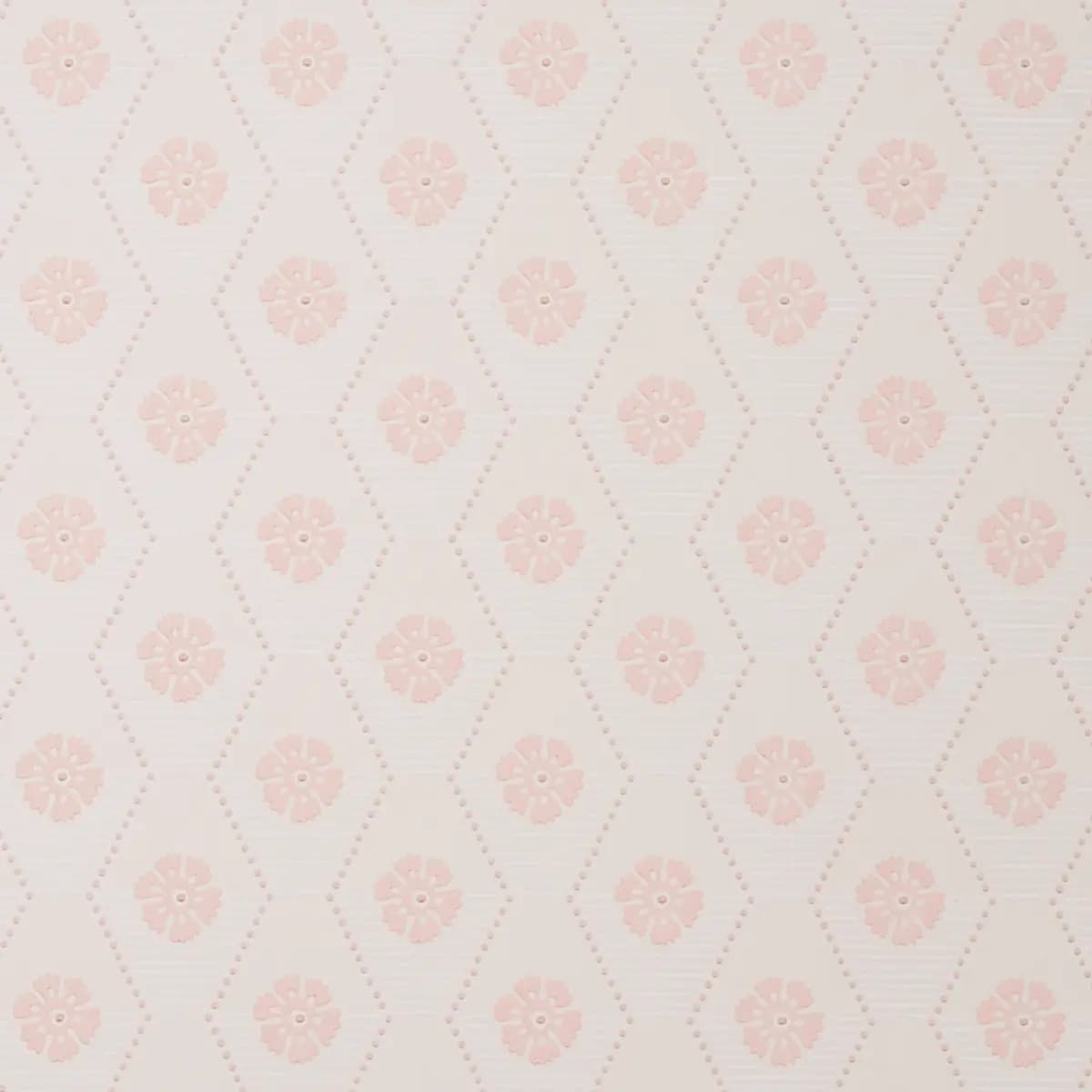 HIVE BLOOM_ BLUSH