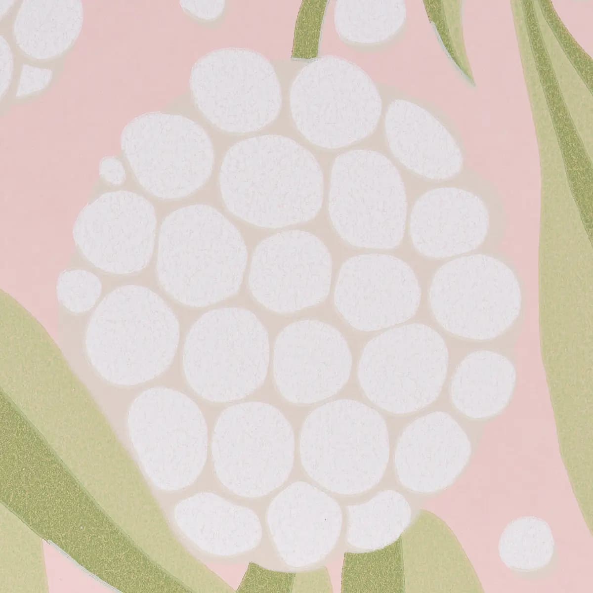 RUBUS_ BLUSH