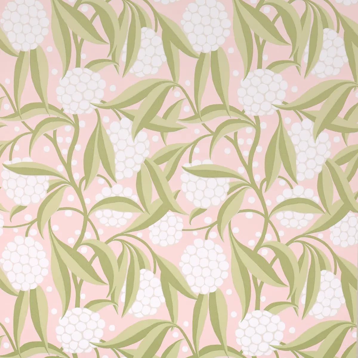 RUBUS_ BLUSH