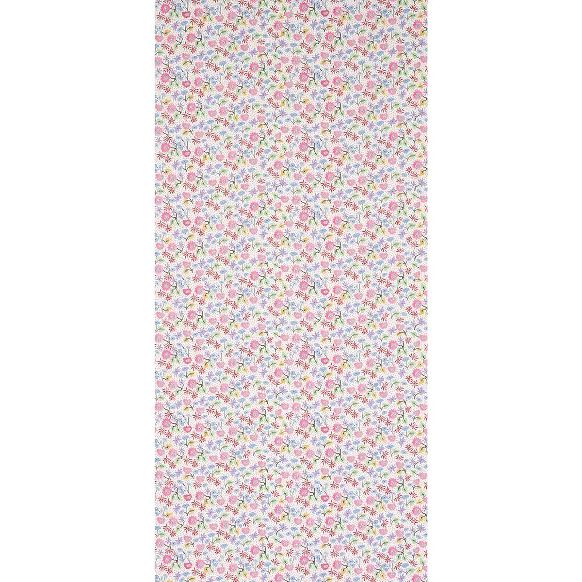CALICO_ SPREZZATURA