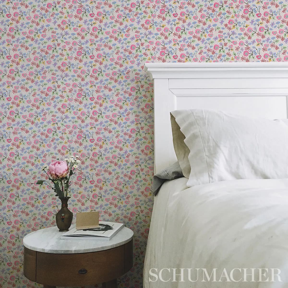 CALICO_ SPREZZATURA