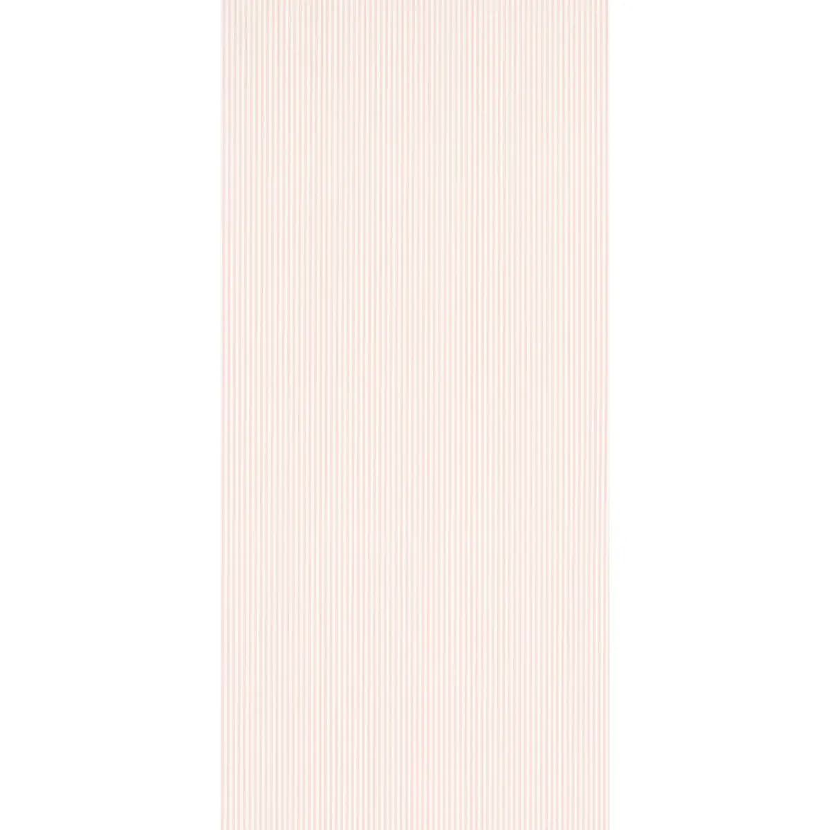 EDWIN STRIPE NARROW_ PETAL