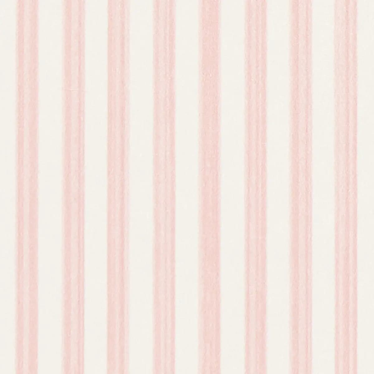 EDWIN STRIPE NARROW_ PETAL