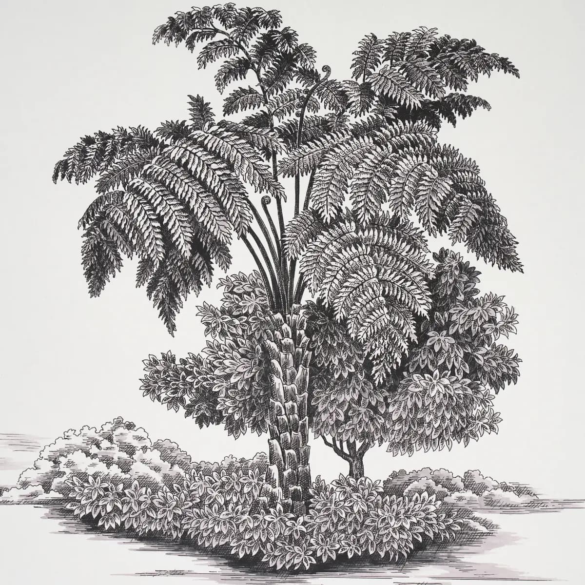 TOUSSAINT TOILE_ BLACK ON IVORY